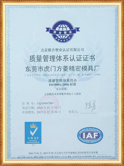 2010 ISO 中文版